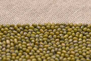 Neutral background. Many green beans. Cooking healthy food