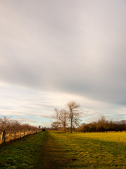 Obraz premium country landscape empty open space tree line sky