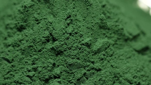 Spirulina Algae Powder, close upon white background .Macro, selective focus