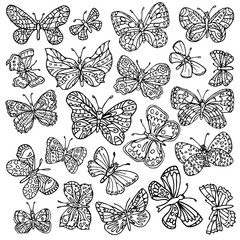 Vector set of butterflies. Beautiful vector design.