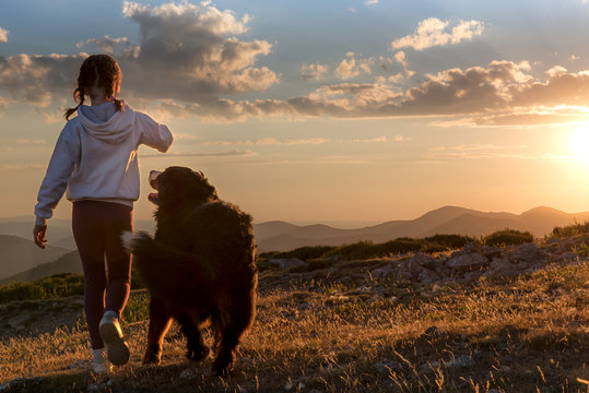 Rear view of little girl and dog playing together outdoors