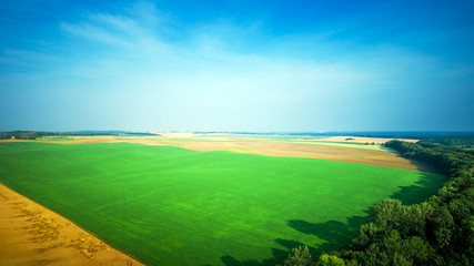 Top view of the farmhouses with gardens and the road