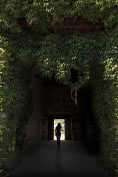Silhouette of woman walking through the entrance of the portal covered by bindweed.