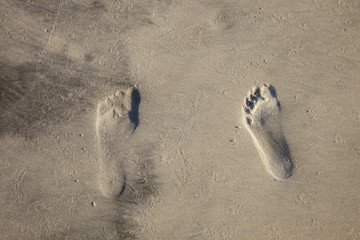 footprints at the beach