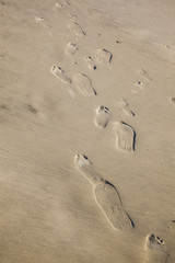 footprints at the beach