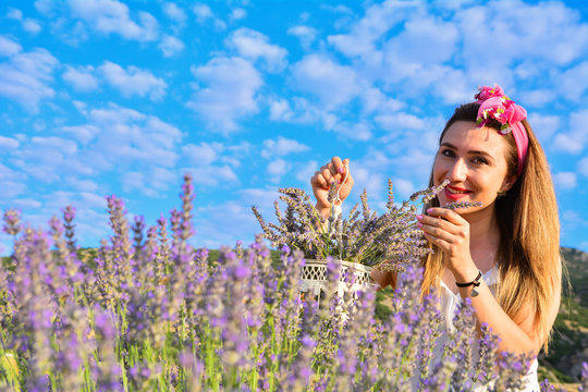 G&ouml;ky&uuml;z&uuml; manzaralı lavanta bah&ccedil;esi