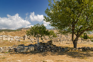 Fototapeta na wymiar Sunny view of ruins of ancient Hierapolis near Pamukkale, Denizli province, Turkey.