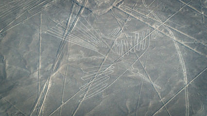 Condor as seen in the Nasca Lines, Nazca, Peru