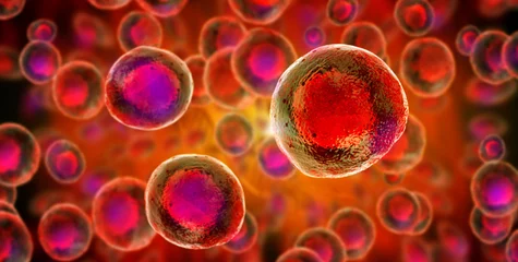 Fotobehang Illustration of embryonic stem cells © Giovanni Cancemi