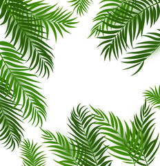 Naklejka na ściany i meble Beautifil Palm Tree Leaf Silhouette Background Vector Illustration