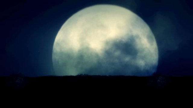 Wolf Running on a Rising Full Moon Night
