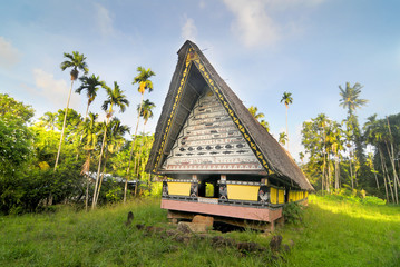Airai Bai (traditional old meeting house for men) on Palau Babeldaob island, Micronesia
