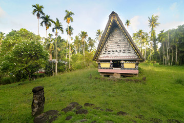 Airai Bai (traditional old meeting house for men) on Palau Babeldaob island, Micronesia
 - obrazy, fototapety, plakaty