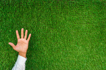 Hand with five fingers up count and a blank on a green grass background. Number 5