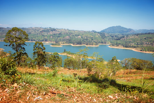 Castlereigh reservoir and surrounded tea plantations in sri lanka