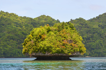  Mushroom-like shape island in Rock Island Palau, Micronesia
 - obrazy, fototapety, plakaty