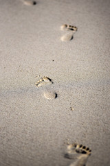 Footsteps on the sand, sandy beach and the coasts of Lanzarote, Canary Islands.