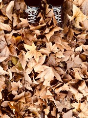 man stepping on a pile of autumn leves