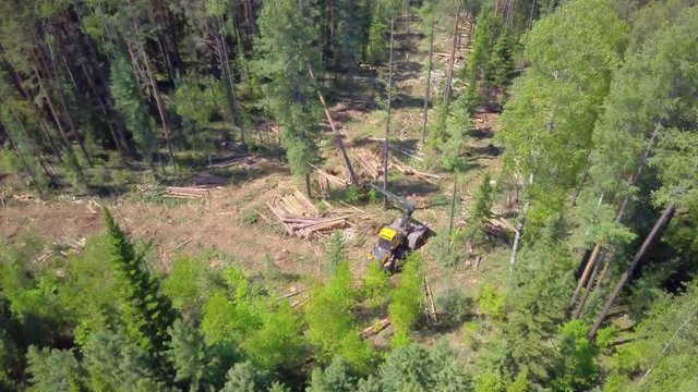 ProRes. Logging from aerial view, Siberian forest.