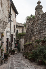 Spectacular colorful traditional italian medieval alley in the historic center of beautiful little town of Spello (Perugia), in Umbria region -  central Italy