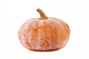 pumpkin squash isolated on white background