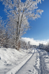 Path in beautiful winter landscape