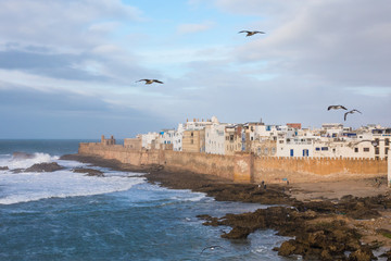 Seagulls on the sky in Essaouira, city and port on the Atlantic coast in Morocco, North Africa