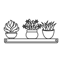 house plants with pots in shelf