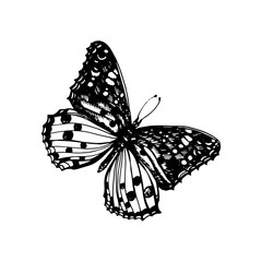 Butterfly Icon