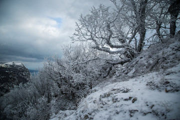 Winter landscapes, mountains and forest. Crimea
