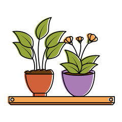 house plants with pots in shelf