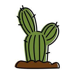 cactus desert isolated icon