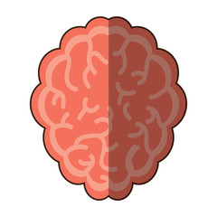 brain organ icon