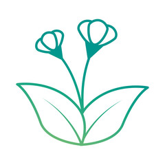 cute flower isolated icon