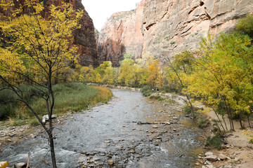 Obraz premium Zion park in USA