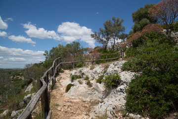 Fototapeta na wymiar Hiking trail, landscape, view from the left bank, Natural Reserve of Cavagrande del Cassibile 