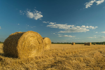 siano nebo © Sergii