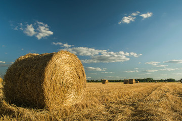 siano i niebo © Sergii