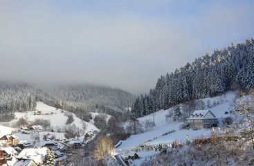 Fototapeta na wymiar Black Forest in Winter - Germany 