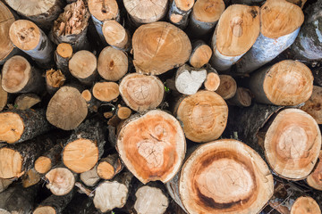 Fototapeta premium Close Up of firewood,wooden background, closeup of chopped firewood. Firewood stacked and prepared for winter. Pile of wood logs
