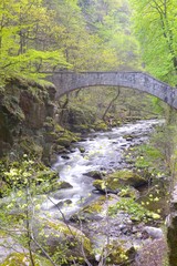 Fototapeta na wymiar Jungfernbrücke bei Königsruhe im Bodetal, Frühling, Ostharz, Sachsen-Anhalt, Deutschland, Europa