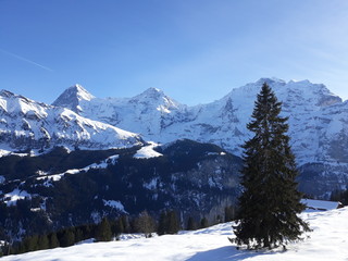 viaje en tren a Murren ,Suiza