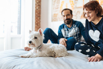 Couple relaxed at home in bed with the dog .