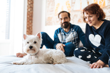 Couple relaxed at home in bed with the dog .