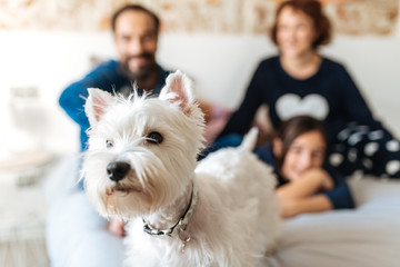 Couple relaxed at home in bed with their little daughter and the dog .