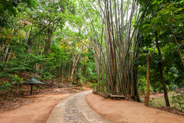 Udawattakele Royal Forest Park