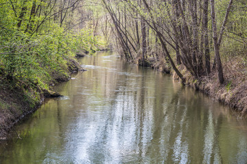 Naturparadies an der Mur: Murauen © Schönbacher Gerhard