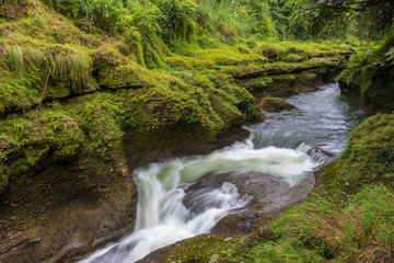 Davis Falls is a waterfall located at Pokhara in Kaski District.