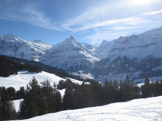 montanas suizas en invierno