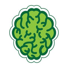 brain organ icon